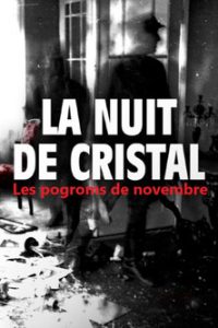 La Nuit de cristal : Les pogroms de novembre