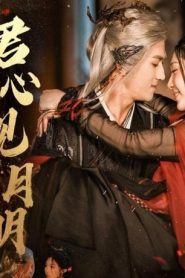 Only Moonlight Reveals A Gentleman’s Heart