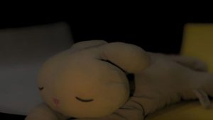 No King Stands Alone: 1×1