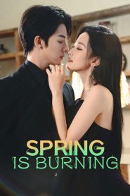 Love in the Spring Night