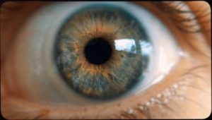 Så knarkar Sverige: 1×1