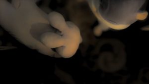 No King Stands Alone: 1×4