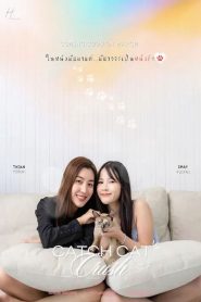 Catch Cat Crush