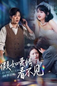 假如爱情看不见