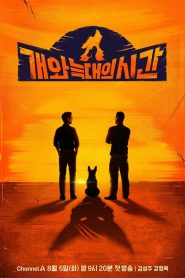 개와 늑대의 시간