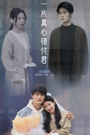 一片真心错付君