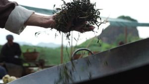 Legend of the Magnate: 1×17